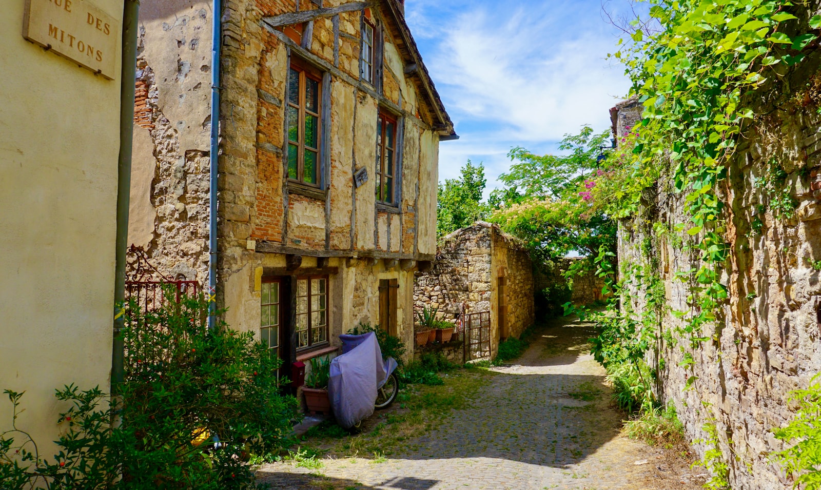 Paysage du secteur Villemur-sur-Tarn