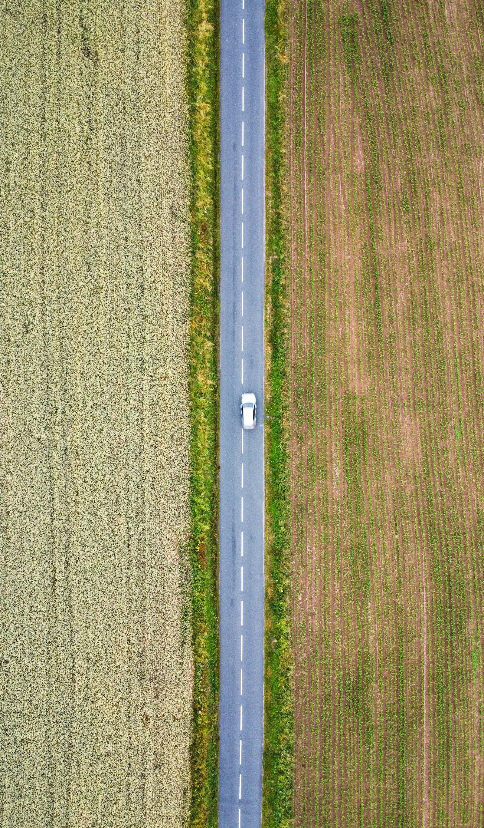 Vue aerienne d une route au milieu des champs dans le sud-ouest